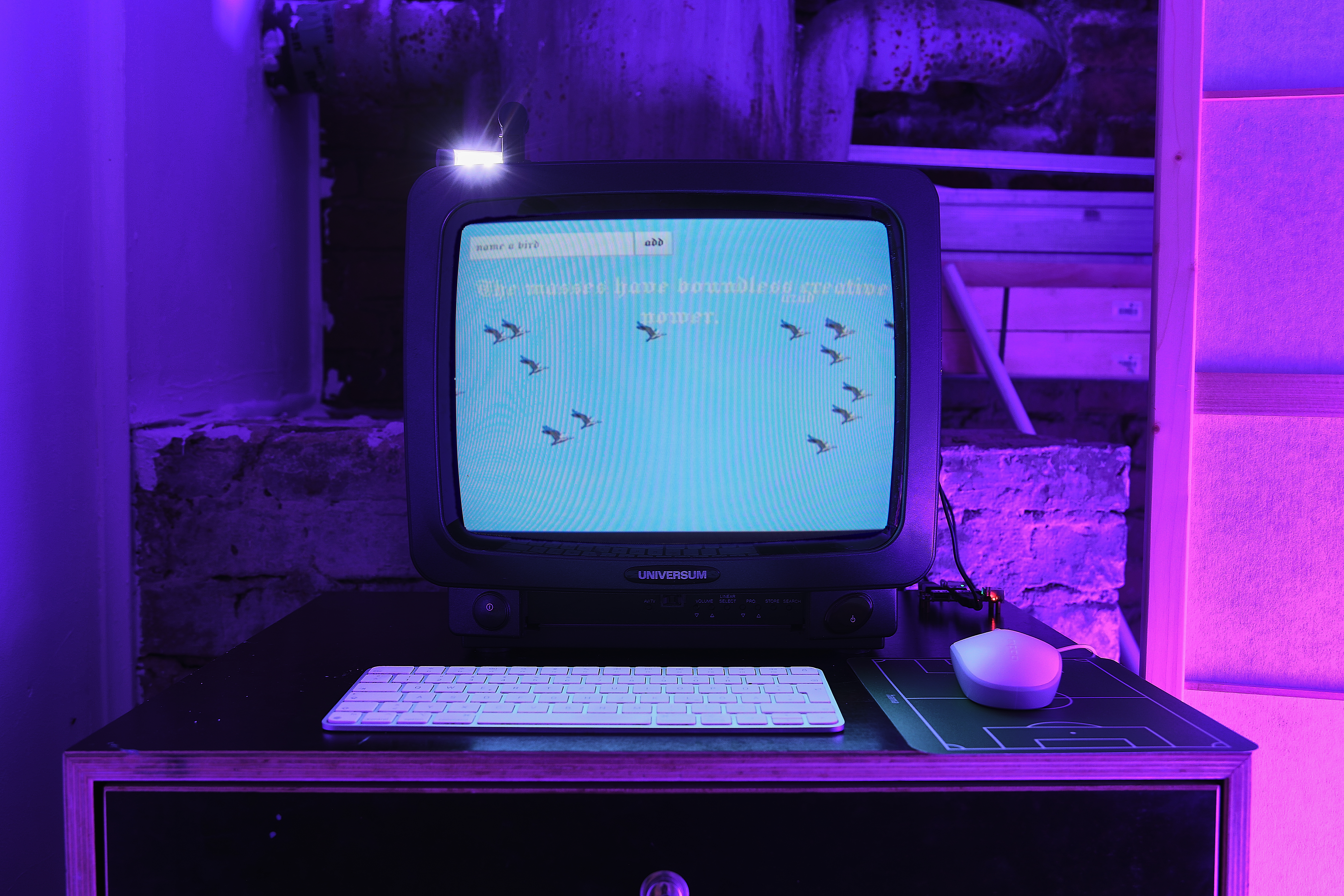 exe archive show